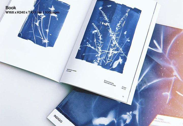 RM - Indigo (+ WeVerse Gifts)#version_set